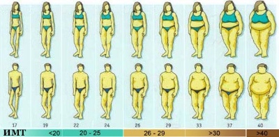 По данным нового исследования, нормальные показатели индекса массы тела не исключают наличия ожирения
