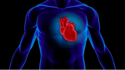 За результатами нового дослідження виявилось, що ушкодження серця при онкологічній патології має місце не тільки на фоні хіміотерапії...