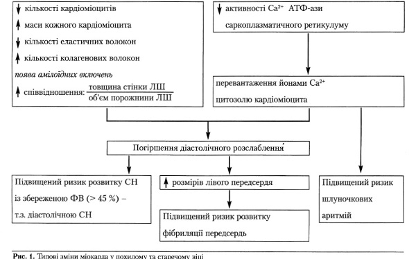 Реферат: Хронічна недостатність кровообігу