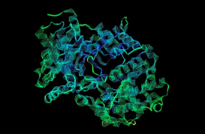 Автори нового дослідження вважають, що даний фермент є і терапевтичною ціллю і предиктором подальших серцево-судинних подій...