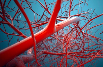По словам авторов, разработан новый простой и точный алгоритм исключения тромбоэмболии легочной артерии...