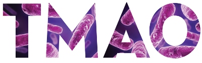ТМАО как прогностический маркер при остром коронарном синдроме.